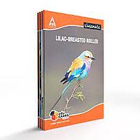 Notebook Classmate UR 24x18 120PGS Notebook Classmate UR 24x18 120PGS